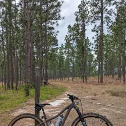 Cheraw and Chesterfield Railroad Trail - Blacksburg