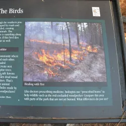 Cheraw and Chesterfield Railroad Trail - Blacksburg