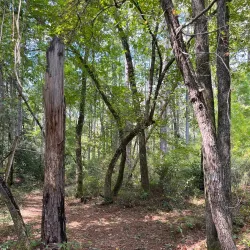 Cheraw and Chesterfield Railroad Trail - Blacksburg