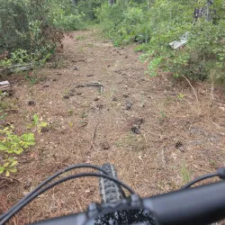 Cheraw and Chesterfield Railroad Trail - Blacksburg