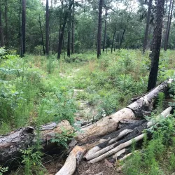 Cheraw and Chesterfield Railroad Trail - Blacksburg