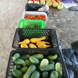 Cheraw Farmers Market - Blacksburg