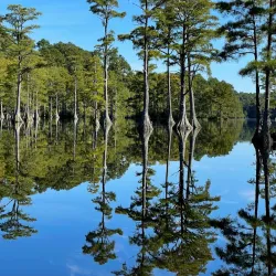 Cheraw State Park - Blacksburg