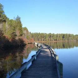 Lake Juniper - Blacksburg