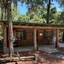 Angel Oak Tree - Charleston