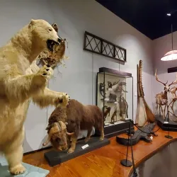 Charleston Museum - Charleston