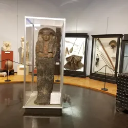 Charleston Museum - Charleston