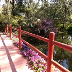 Magnolia Plantation and Gardens - Charleston