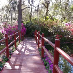 Magnolia Plantation and Gardens - Charleston