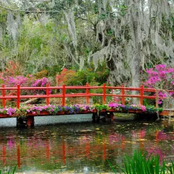 Magnolia Plantation and Gardens - Charleston