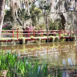 Magnolia Plantation and Gardens - Charleston