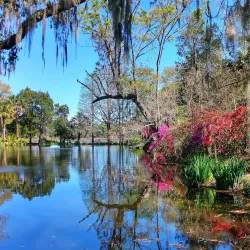 Magnolia Plantation and Gardens - Charleston