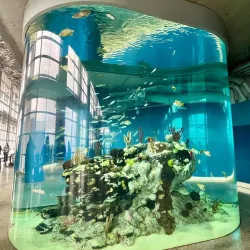 South Carolina Aquarium - Charleston