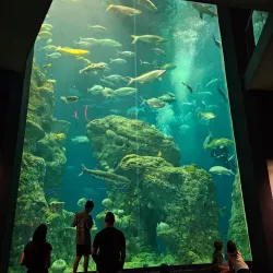 South Carolina Aquarium - Charleston