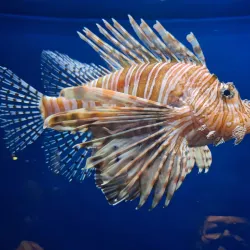 South Carolina Aquarium - Charleston