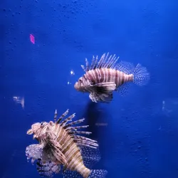 South Carolina Aquarium - Charleston