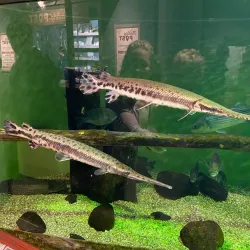 South Carolina Aquarium - Charleston