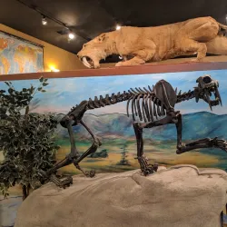 Bob Campbell Geology Museum - Clemson