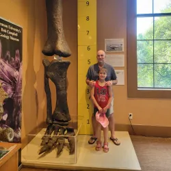 Bob Campbell Geology Museum - Clemson