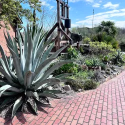 Clemson Area Museum - Clemson