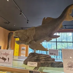 Clemson Area Museum - Clemson