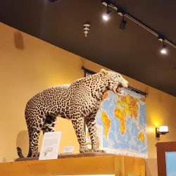 Clemson Area Museum - Clemson