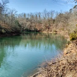 Clemson Experimental Forest - Clemson