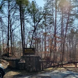 Clemson Experimental Forest - Clemson
