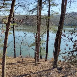 Clemson Experimental Forest - Clemson