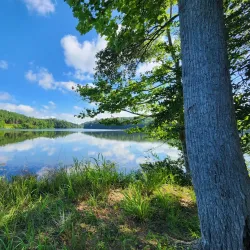 Clemson Experimental Forest - Clemson
