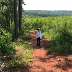 Clemson Experimental Forest - Clemson