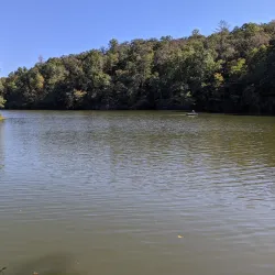 Clemson Experimental Forest - Clemson