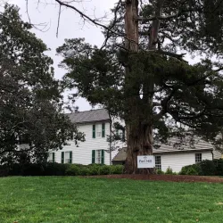 Clemson University Campus - Clemson