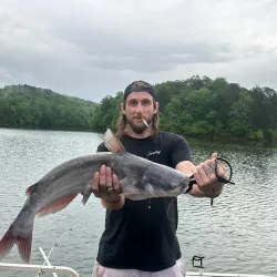 Lake Hartwell - Clemson