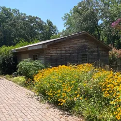 South Carolina Botanical Garden - Clemson