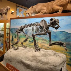 South Carolina Botanical Garden - Clemson