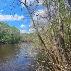 Congaree National Park - Columbia