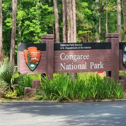 Congaree National Park - Columbia