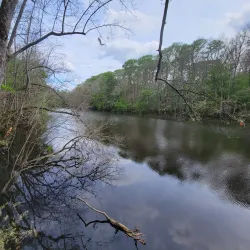 Congaree National Park - Columbia