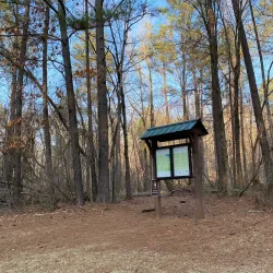 Harbison State Forest - Columbia