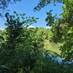 Harbison State Forest - Columbia