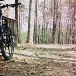 Harbison State Forest - Columbia