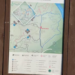 Harbison State Forest - Columbia