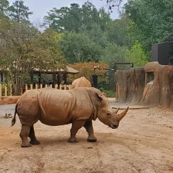 Riverbanks Zoo and Garden - Columbia