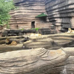 Riverbanks Zoo and Garden - Columbia