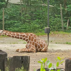 Riverbanks Zoo and Garden - Columbia