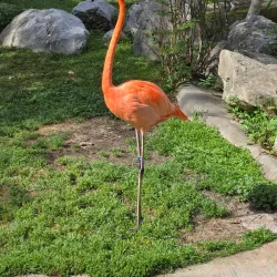 Riverbanks Zoo and Garden - Columbia