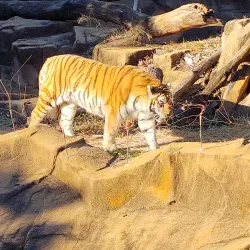 Riverbanks Zoo and Garden - Columbia