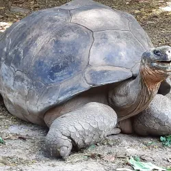 Riverbanks Zoo and Garden - Columbia