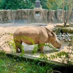 Riverbanks Zoo and Garden - Columbia